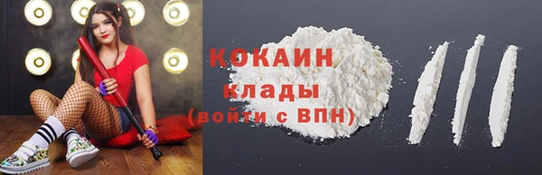 дживик Горняк