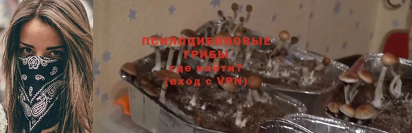дживик Горняк