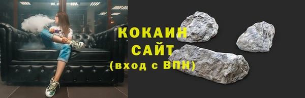 дживик Горняк