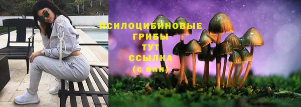 дживик Горняк
