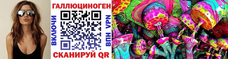 Галлюциногенные грибы Psilocybine cubensis  Обь 